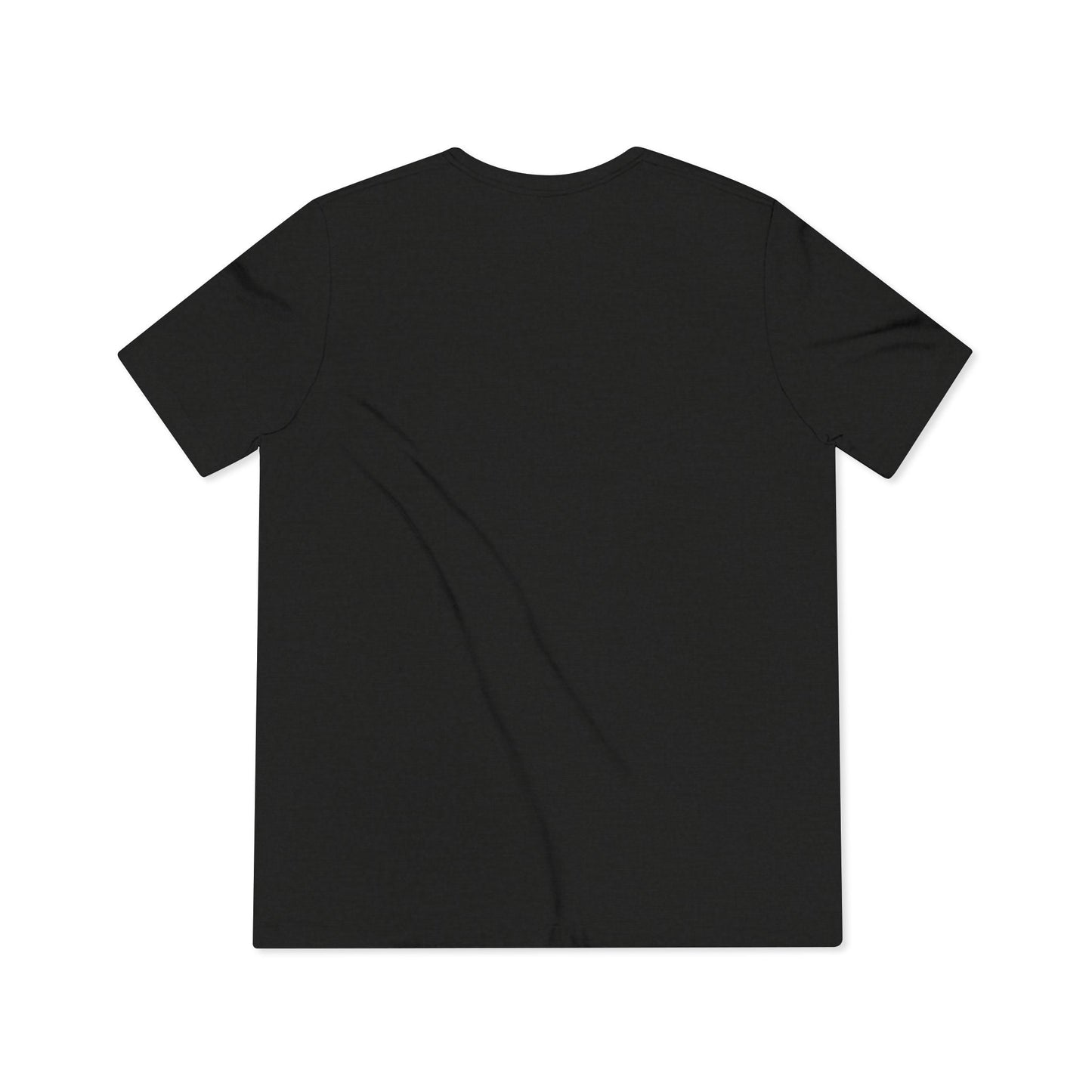 LCC Unisex Triblend Tee