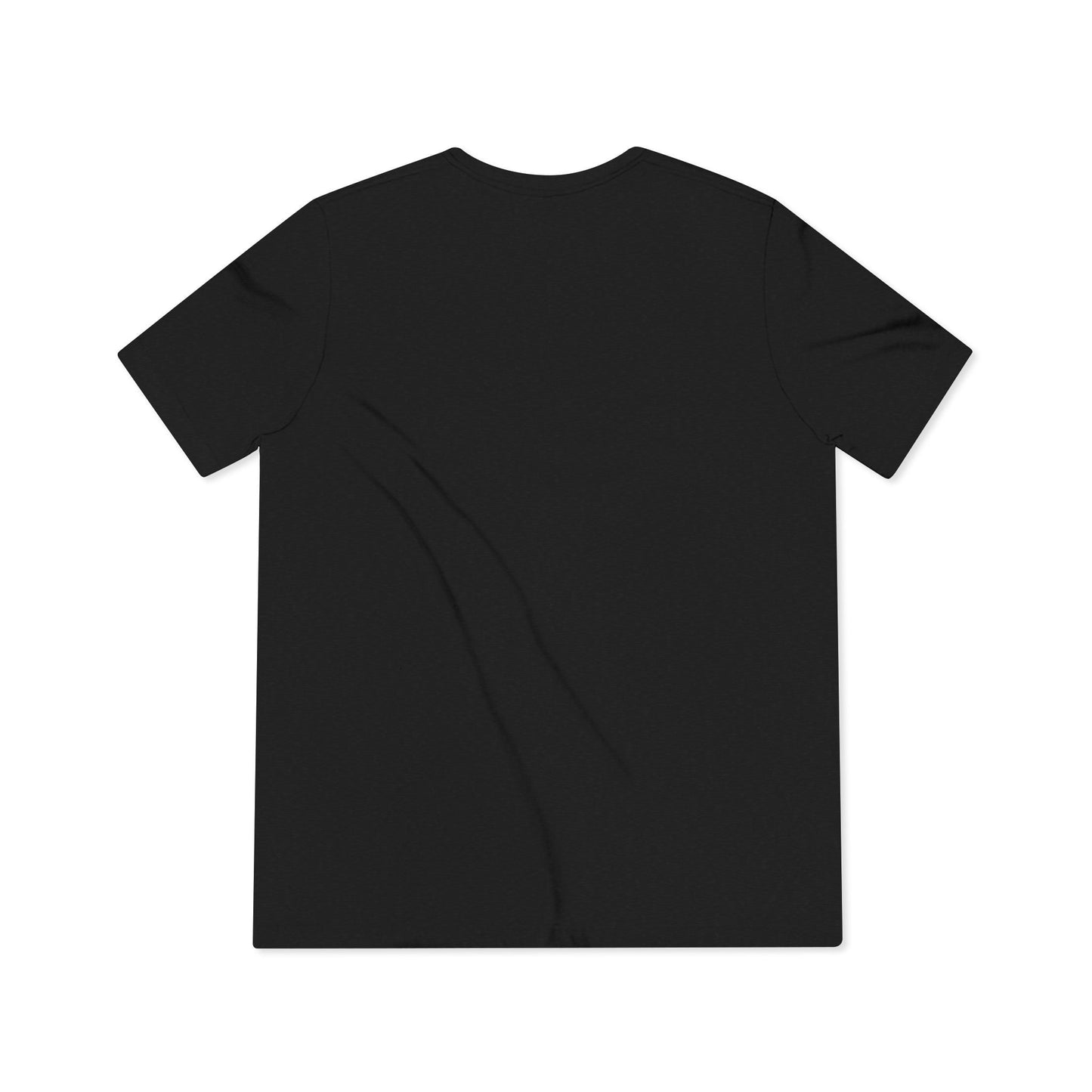LCC Unisex Triblend Tee