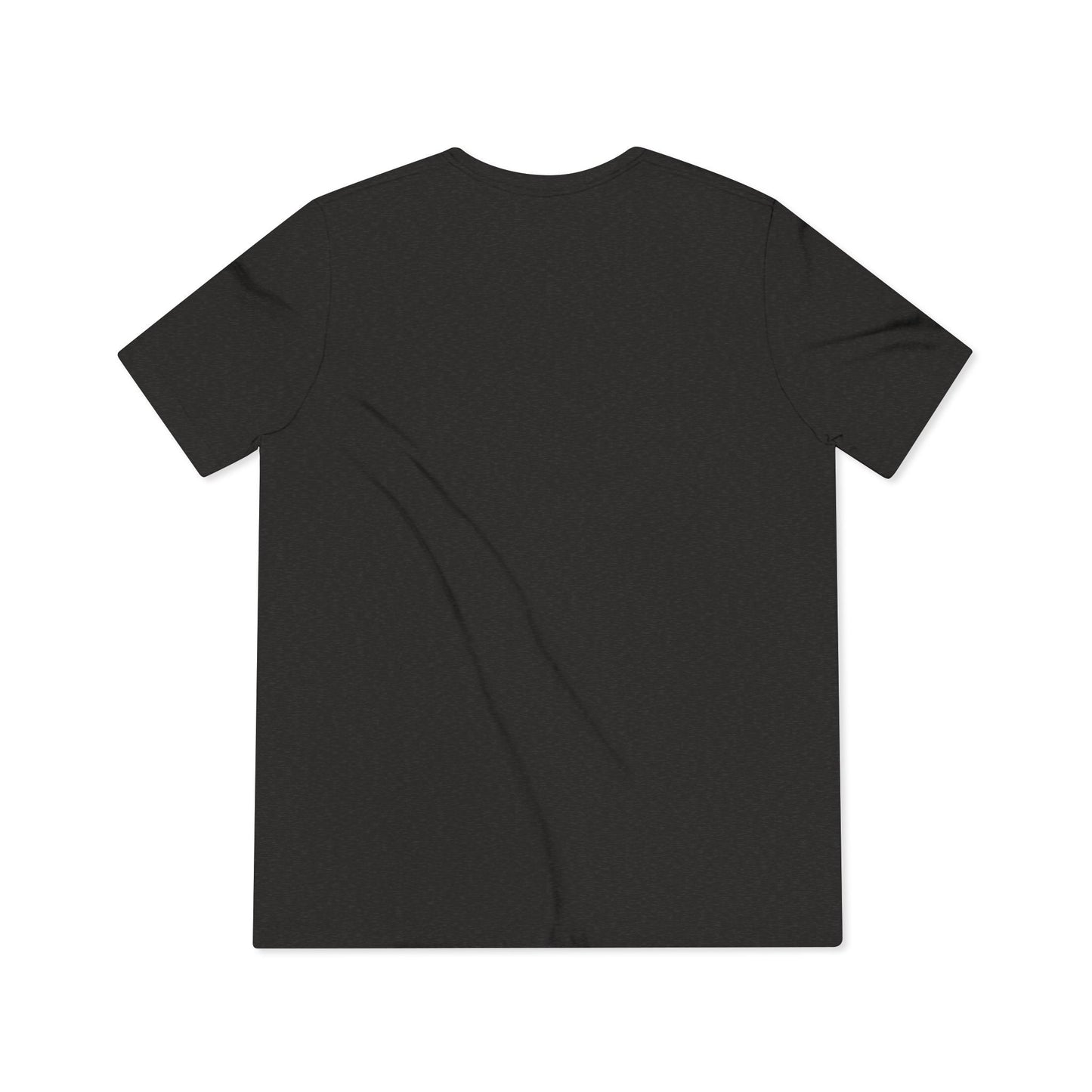 LCC Unisex Triblend Tee